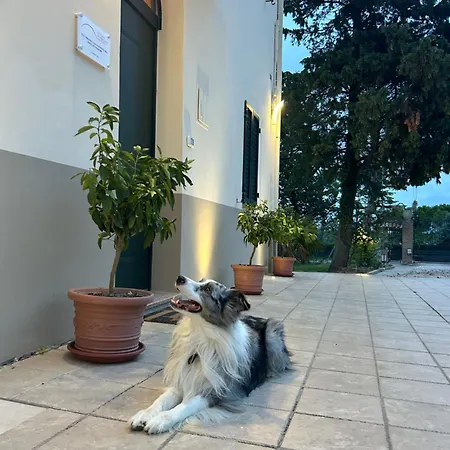 Casa de hóspedes La Casa In Collina -